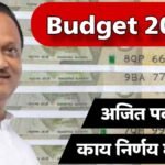 Maharashtra Budget 2025 Ajit Pawar Ladki Bahin Yojana Funding Cuts