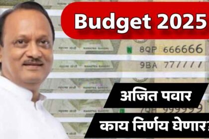 Maharashtra Budget 2025 Ajit Pawar Ladki Bahin Yojana Funding Cuts