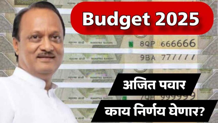 Maharashtra Budget 2025 Ajit Pawar Ladki Bahin Yojana Funding Cuts