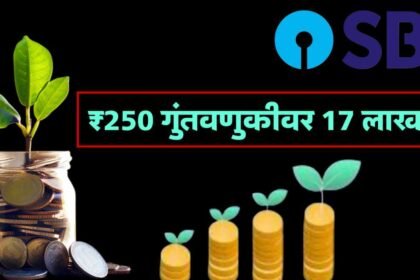 SBI SIP Scheme Invest 250 Monthly Get 17 Lakh