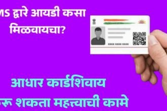 Virtual Aadhaar ID Benefits Apply Process